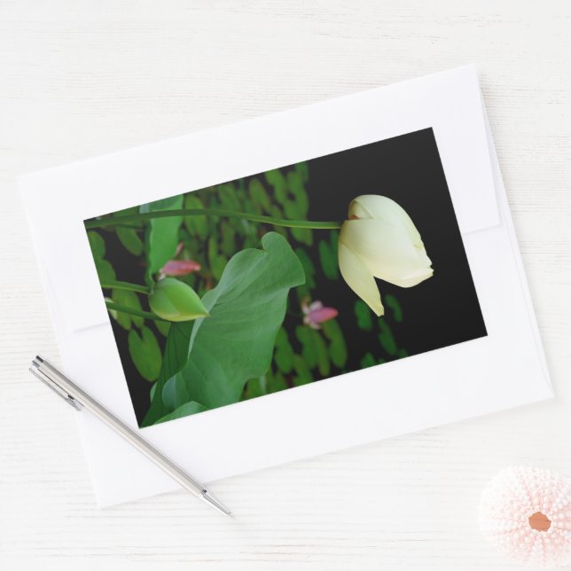 Lotus Water Lily Rectangular Sticker (Envelope)