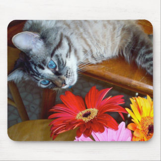 Louie Cat's Flower Bliss Mousepad