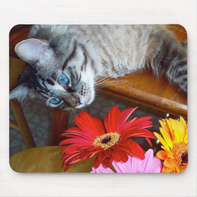 Louie Cat's Flower Bliss Mousepad (Front)