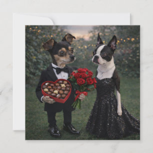 Louie & Luna Wish You a Happy Valentine's Day 1 Card