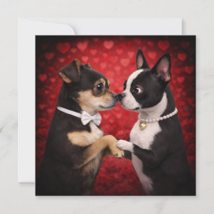 Louie & Luna Wish You a Happy Valentine's Day 9 Card