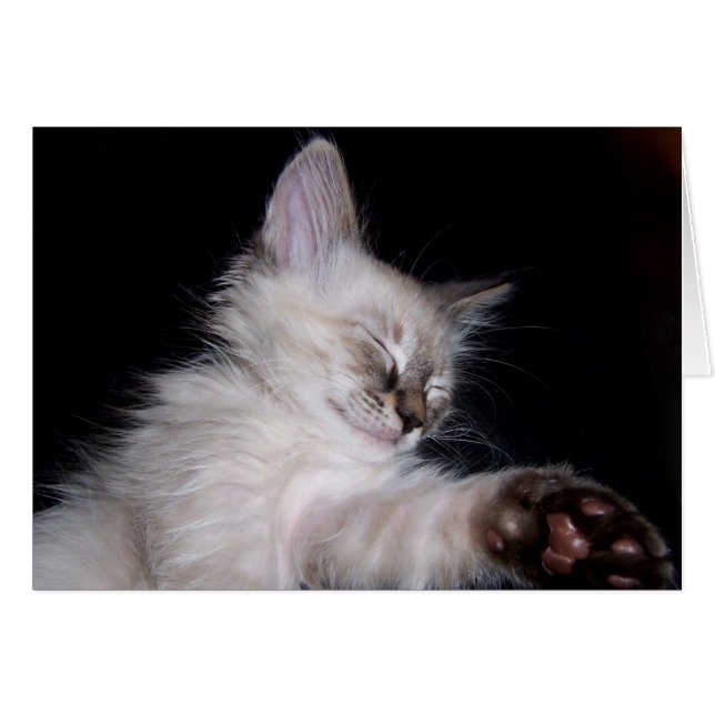 Louie's Sleepy Slumber Smile (Front Horizontal)