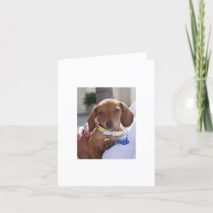 Louis 051 card