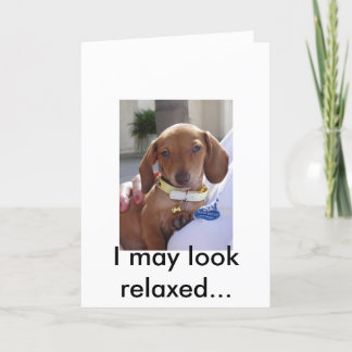 Louis 051, I may look relaxed. Card