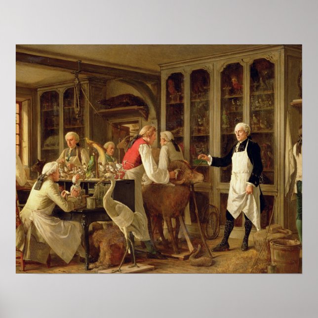 Louis Jean Marie Daubenton (1716-99) in his Labora Poster (Front)