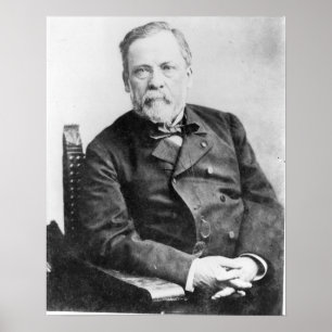 Louis Pasteur Poster