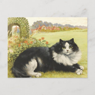 Louis Wain Black And White Cat Postcard