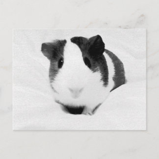 louise postcard