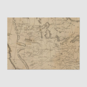 Louisiana 12 tissue paper