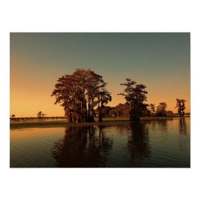 Louisiana bayou and cypress trees poster (Front)