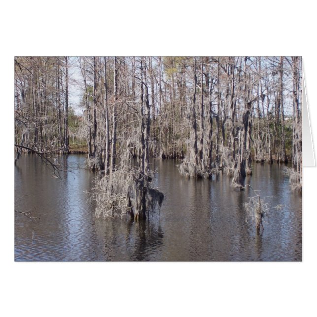 Louisiana Bayou Card (Front Horizontal)