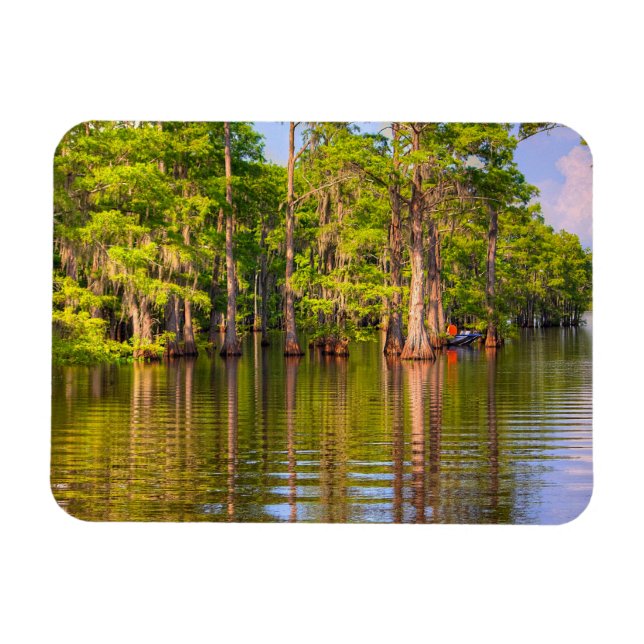 Louisiana Bayou Photo Magnet (Horizontal)
