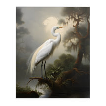Louisiana Bayou: White Egret