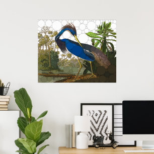 Louisiana Blue Heron by After John James Audubon Poster