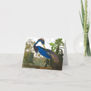 Louisiana Blue Heron by After John James Audubon Thank You Card