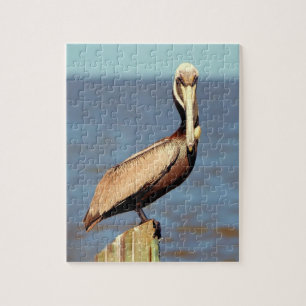 Louisiana Brown Pelican 4.jpg Jigsaw Puzzle