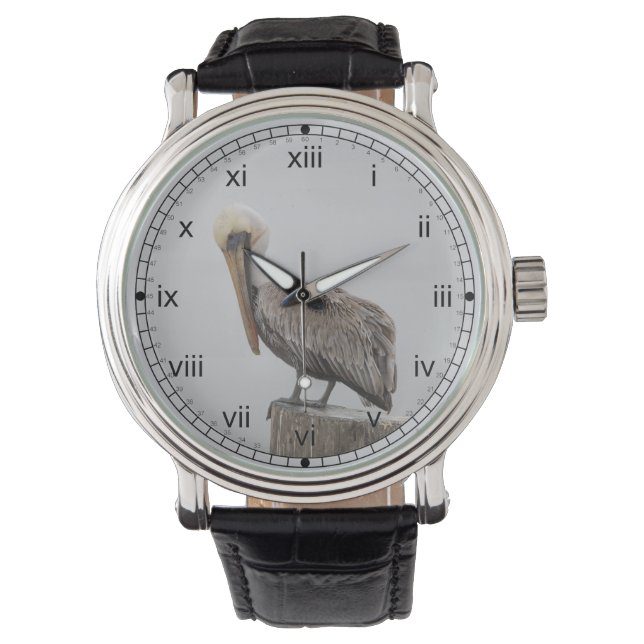 Louisiana Brown Pelican Watch (Front)