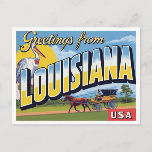 Louisiana Carriage Pelican Postcard