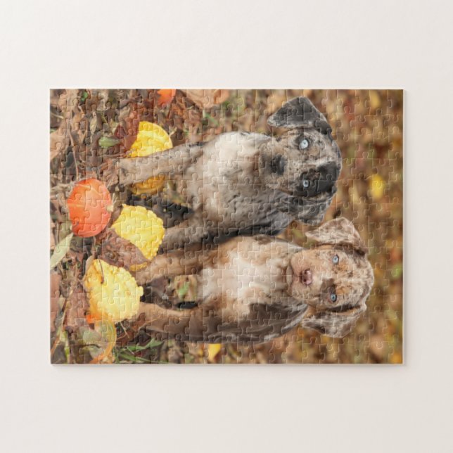 Louisiana Catahoula Puppies With Pumpkins Jigsaw Puzzle (Horizontal)