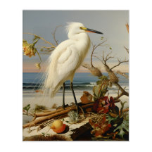 Louisiana Coast: Snowy Egret