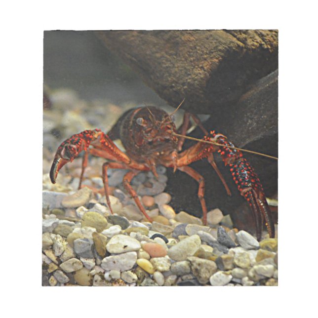 Louisiana Crawfish Notepad (Front)