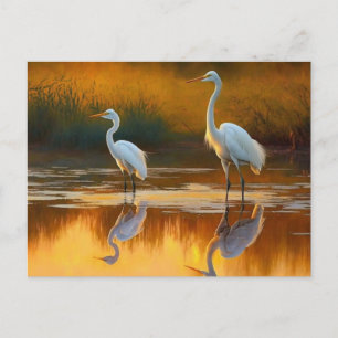 Louisiana Egret Art Postcard