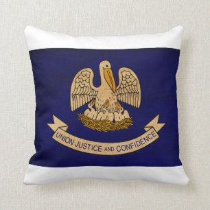 Louisiana Flag Cushion