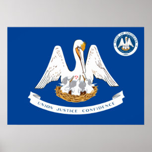 Louisiana flag poster