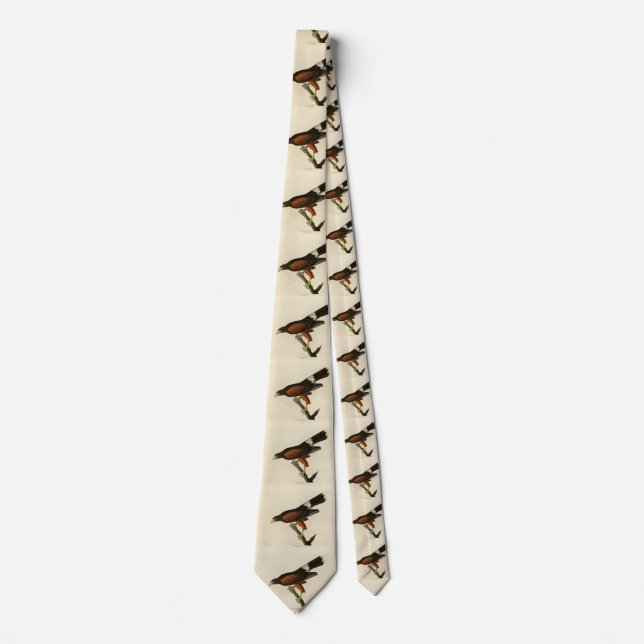 Louisiana (Harris's) Hawk Audubon Birds of America Tie (Front)