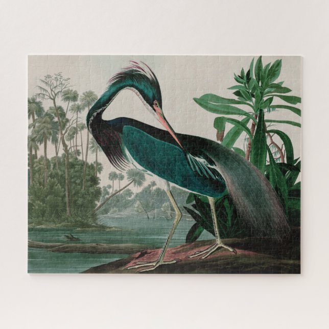 Louisiana Heron Birds of America Audubon Print Jigsaw Puzzle (Horizontal)