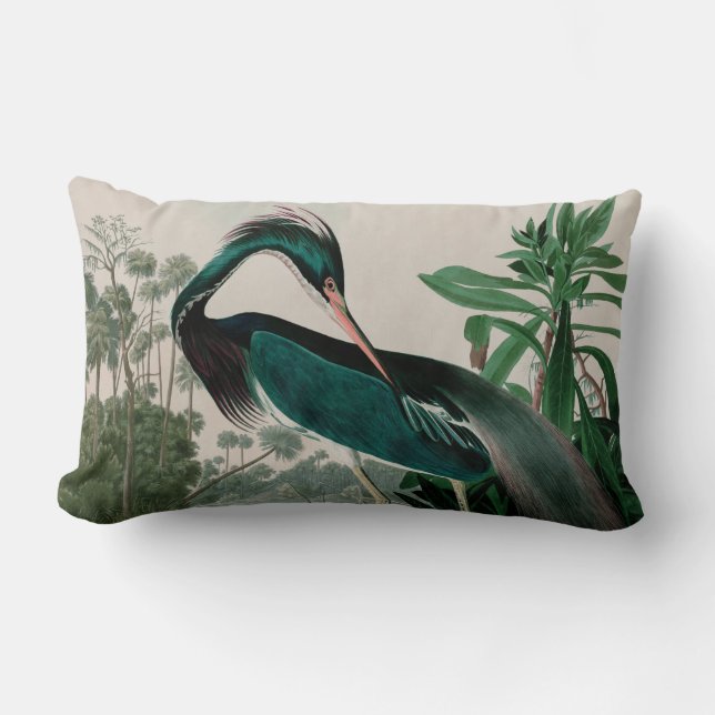 Louisiana Heron Birds of America Audubon Print Lumbar Cushion (Front)