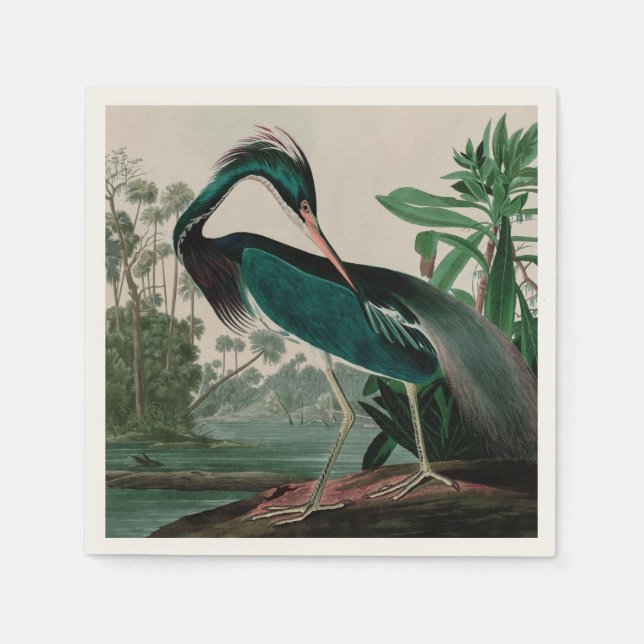 Louisiana Heron Birds of America Audubon Print Napkin (Front)