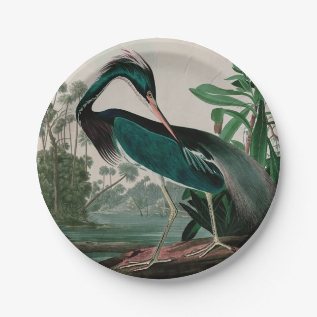 Louisiana Heron Birds of America Audubon Print Paper Plate (Front)