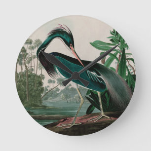 Louisiana Heron Birds of America Audubon Print Round Clock