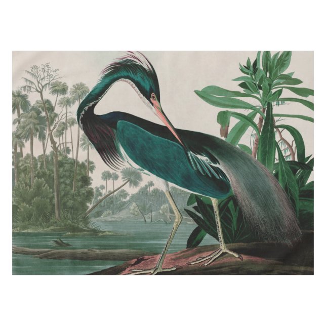 Louisiana Heron Birds of America Audubon Print Tablecloth (Front (Horizontal))