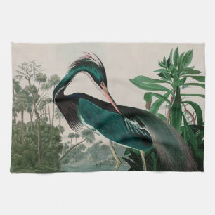 Louisiana Heron Birds of America Audubon Print Tea Towel