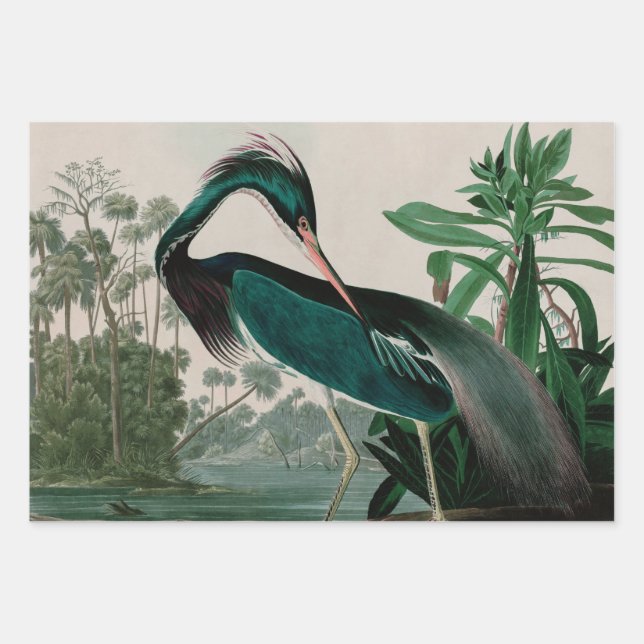 Louisiana Heron Birds of America Audubon Print Wrapping Paper Sheet (Front)