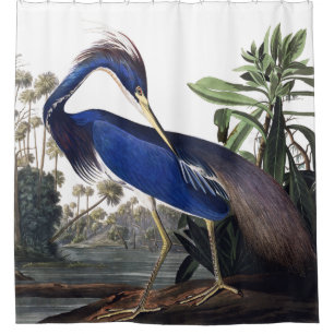 Louisiana Heron by Audubon Shower Curtain