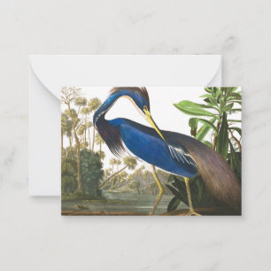 Louisiana Heron by John James Audubon Card