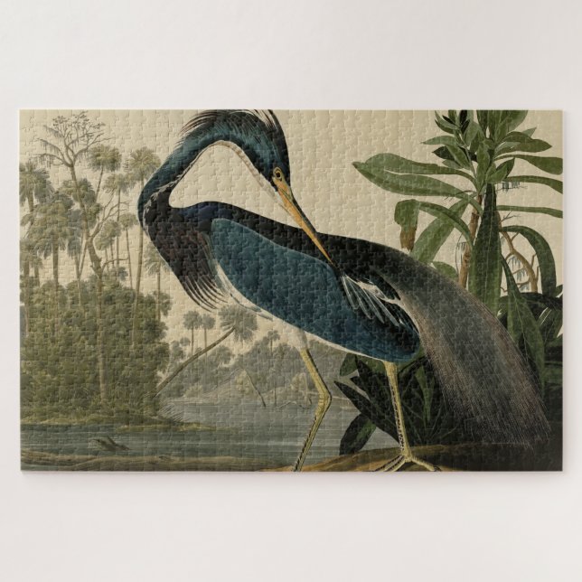 Louisiana Heron - from Audubon's Birds of America Jigsaw Puzzle (Horizontal)