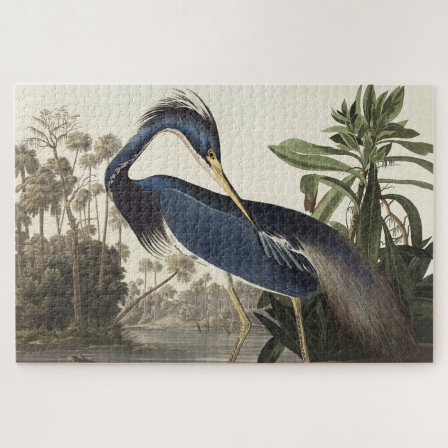 Louisiana Heron from Birds of America Jigsaw Puzzle (Horizontal)