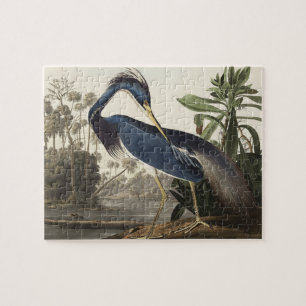 Louisiana Heron from Birds of America Jigsaw Puzzle