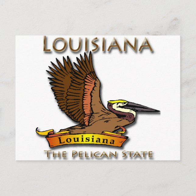 Louisiana Pelican State Pelican Postcard (Front)