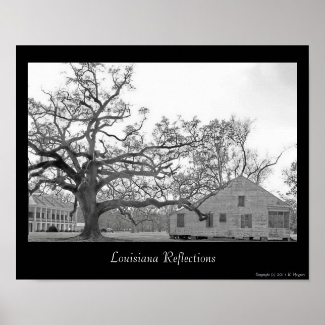 Louisiana Reflections Poster (Front)