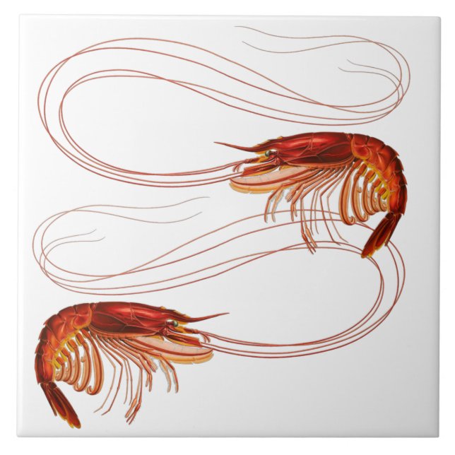 Louisiana Shrimp Tile (Front)