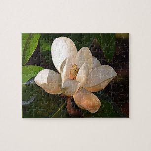 Louisiana Southern Magnolia Jigsaw Puzzle