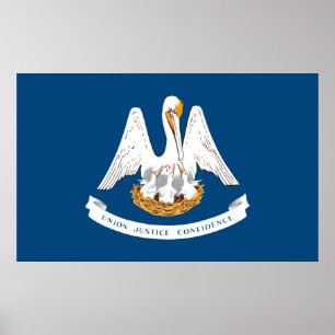 Louisiana State Flag Poster