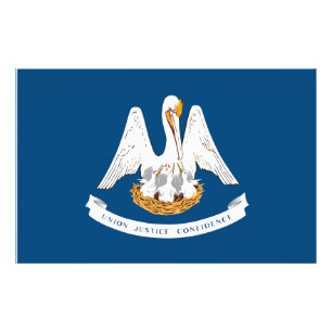 Louisiana State Flag USA Photo Print