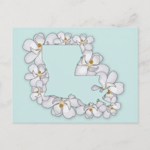 Louisiana State Flower - Magnolia Postcard