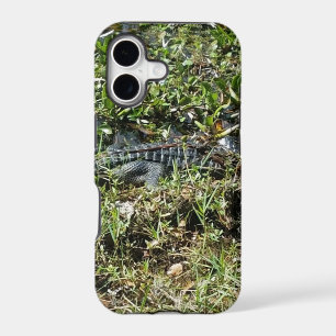 Louisiana Swamp Alligator in Jean Lafitte Close Up